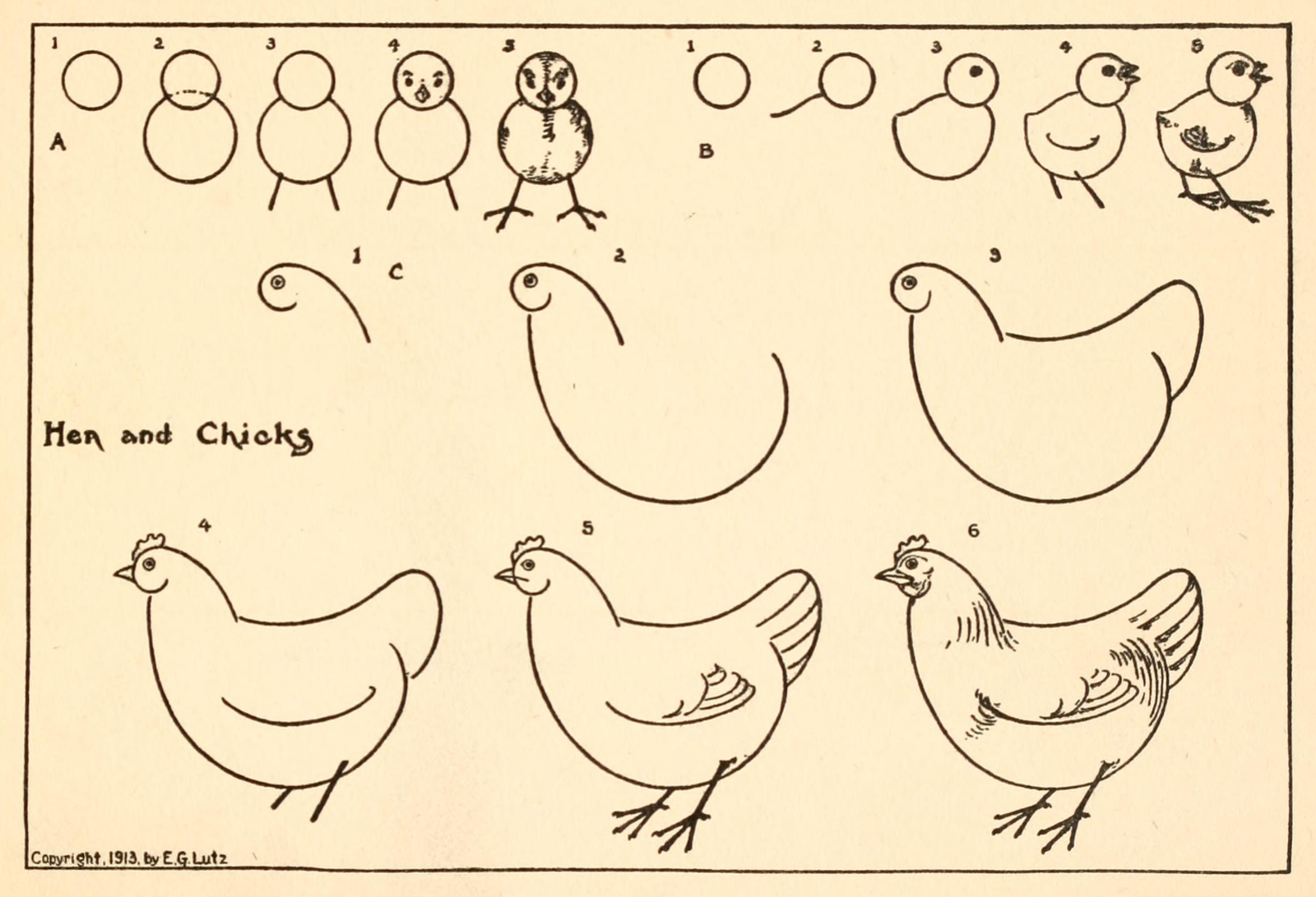 17 Huevos y gallinas